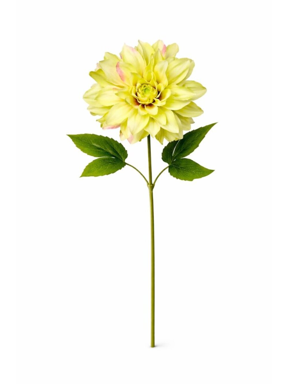 Green Dahlia Stem Faux Flower 24 Inch 5 Inch Bloom Light Green Artificial Dahlia